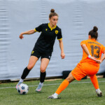 ΑΕΚ – ΟΦΗ 2-1: Ανατροπή με… υπογραφή Βιολάρη!