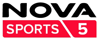 NS5 logo